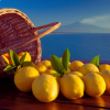 SICILIAN LEMON